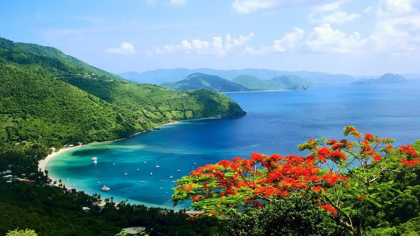 高标准创意高性能
